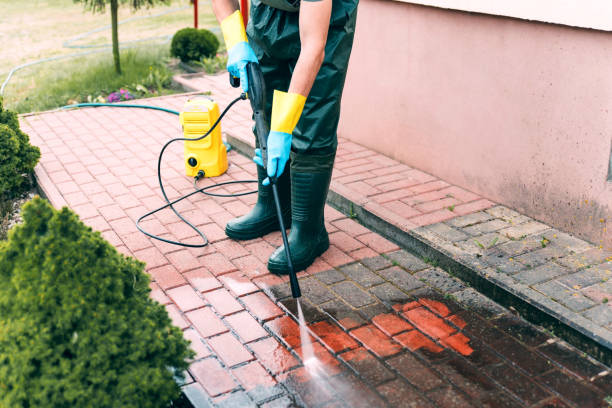 Best Driveway Pressure Washing  in Belgium, WI