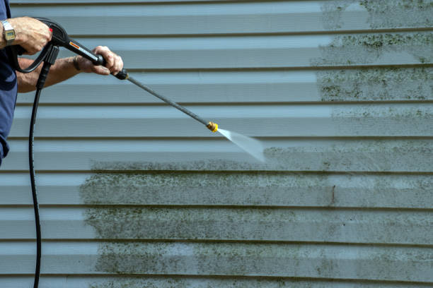 Best Driveway Pressure Washing  in Belgium, WI